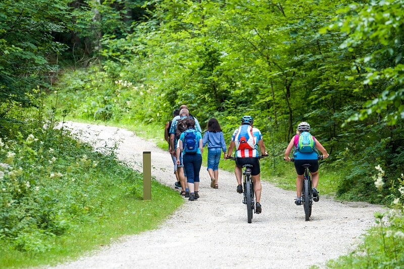 Count and classify trail and park visitors to understand their habits.