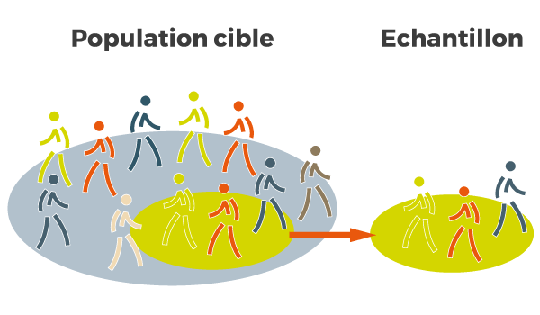 La sélection d'un échantillon représentatif de la population cible est primordiale pour une étude réaliste.
